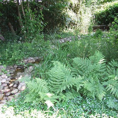 B&B 'T Nije Huus Schoonoord Εξωτερικό φωτογραφία